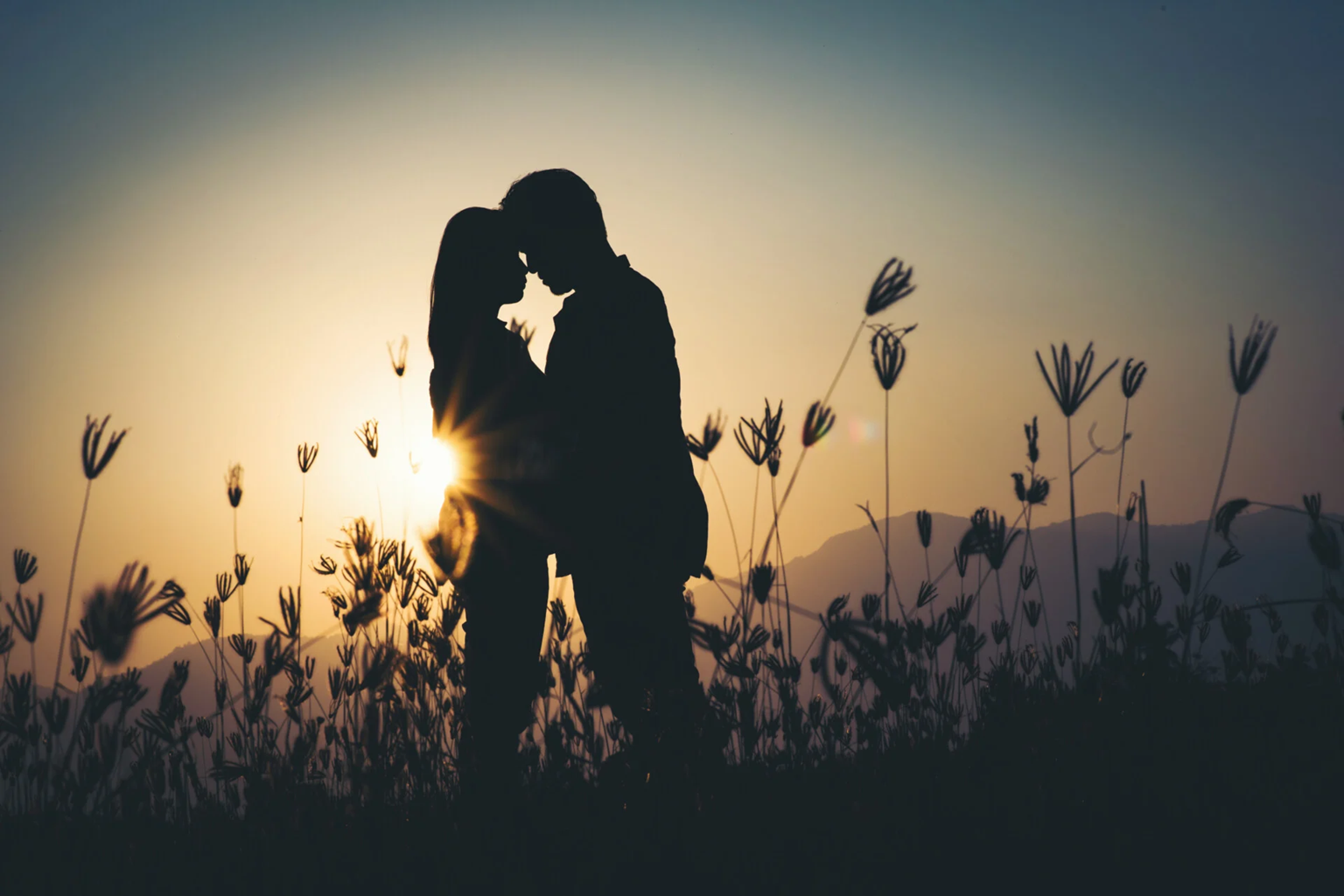 Relationship Psychology Attraction