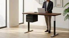 Lunar Ergonomic Desk