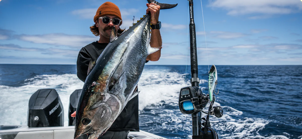All Piscifun Reels