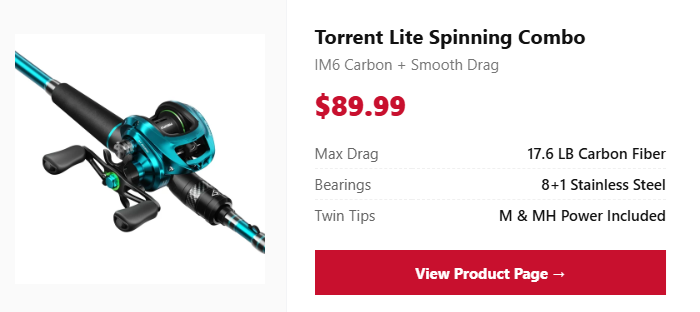 Torrent Lite Spinning Combo